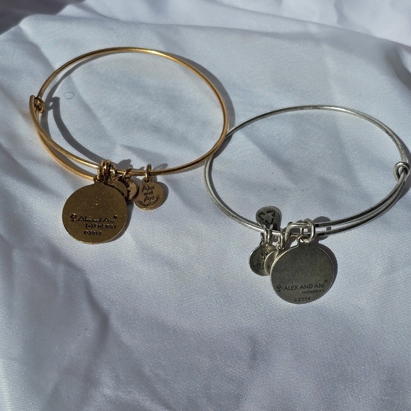 Alex & Ani Silver & Gold Tone AUNT & GODMOTHER Bracelet Mother's Day Adjustable - Picture 2 of 5